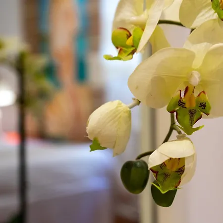 Sardegna Host Venere * Cagliari